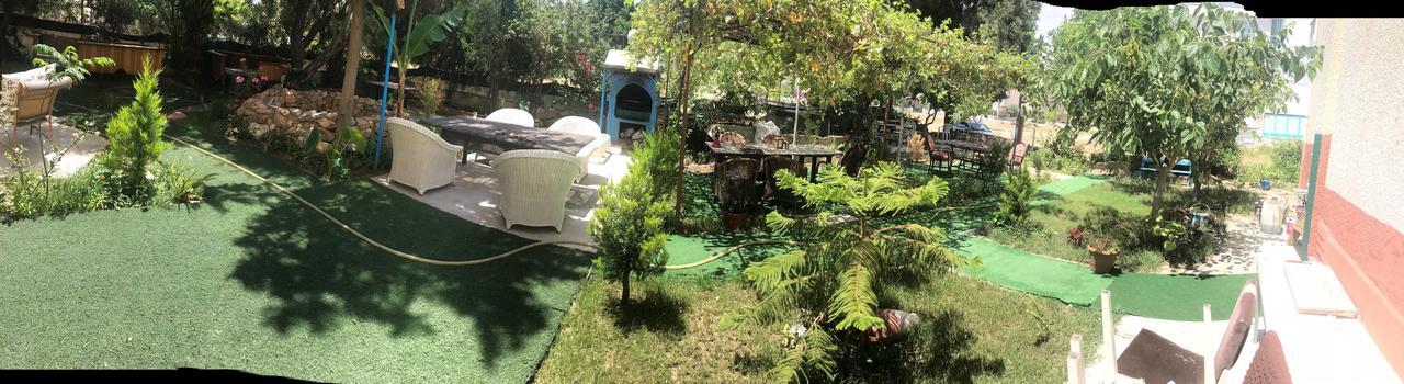 Iskele Butik Otel 阿纳穆尔 外观 照片